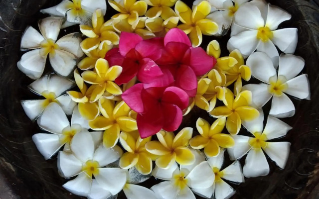 Villa Kalachuchi B&B