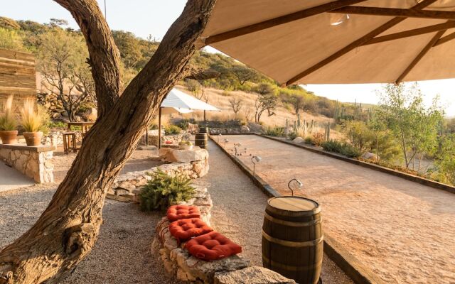 Viñedos Puerta del Lobo