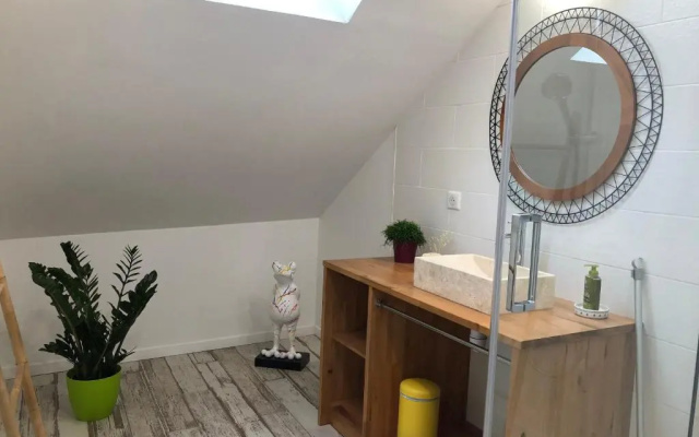 Appartement en duplex centre-ville BOHEME