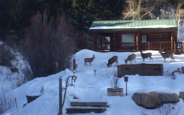 Two Bears Inn Bed & Breakfast