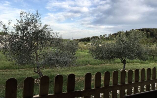 Il giardino degli ulivi