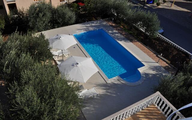 Olive - Swimming Pool - SA5