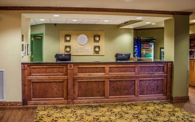 Comfort Inn & Suites Daphne Spanish Fort - Mobile East