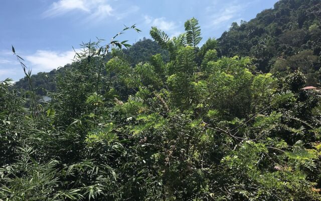 kandy home stay villa