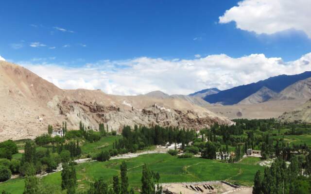 The Grand Ladakh