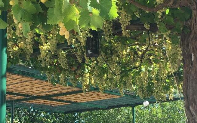 trullo Giardino Sotto La Luna