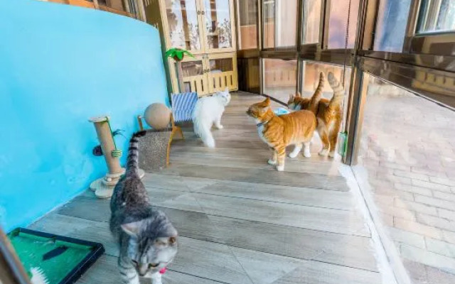 Changdao Chuanyu Seaview Homestay (Mingzhu Beach Branch)