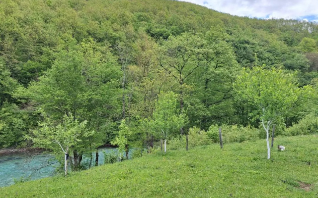 Country house Tara Orasac