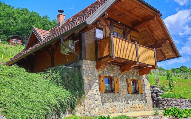 Vineyard cottage Kralj