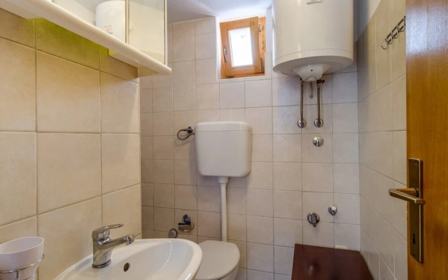 Stipe - Free Barbecue - A3