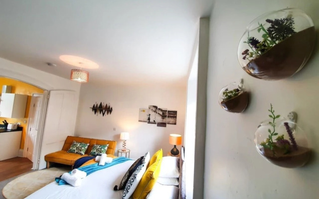 Ground Floor Apartment - Plymouth, Devon