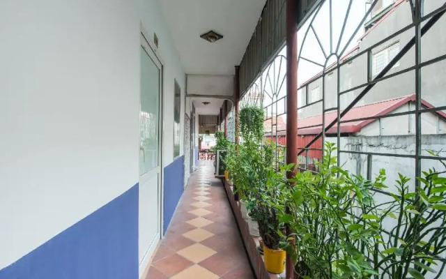 Gecko Hotel