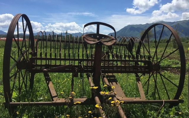 agriturismo campo del monaco