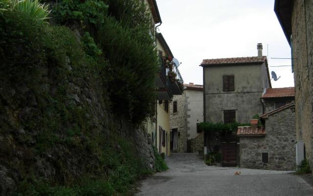 Il Pino Amiata