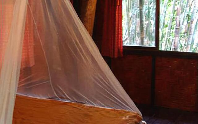 Khao Sok Tree House