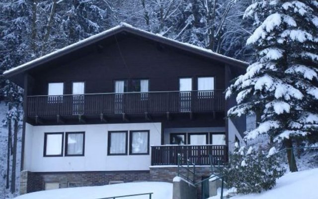 Cozy Chalet in Dolni Brusnice With Swimming Pool