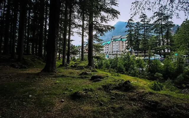 Olive County, Manali