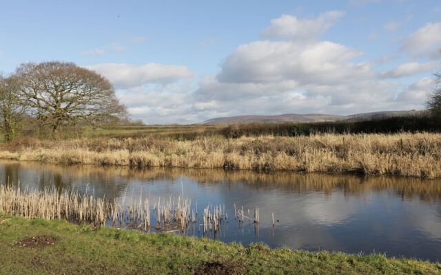 The Furrows