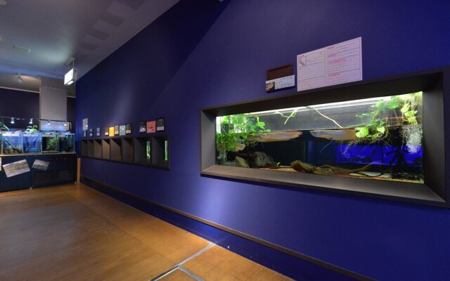 Hotel Takeshima