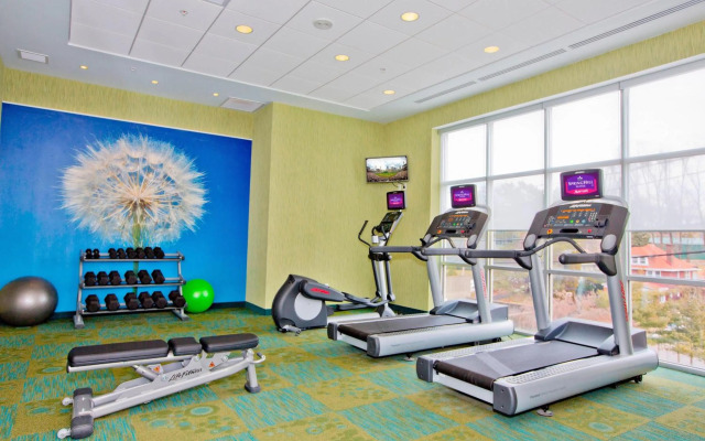 Springhill Suites by Marriott Pittsburgh Mt. Lebanon