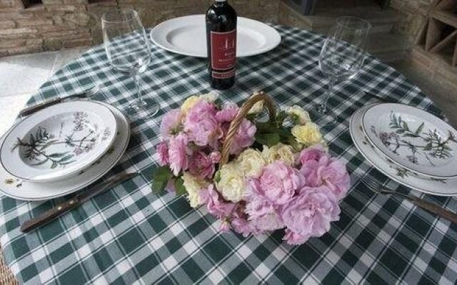 Alpaca Country House