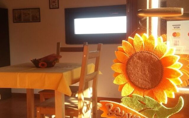 Il Nido delle Aquile dellEtna