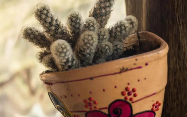 Tierra Sagrada Eco Lodge