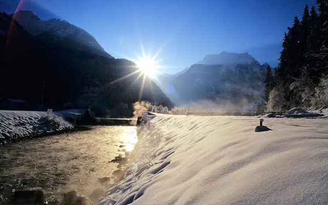 Appartements Alpenrose