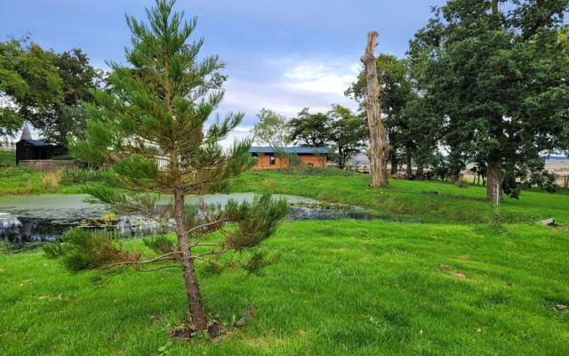 Cosy Wood Cabin in Rural Area Near National Park