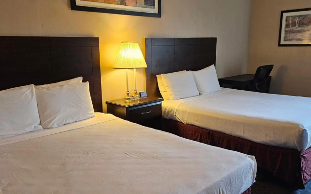 Bellis Inn
