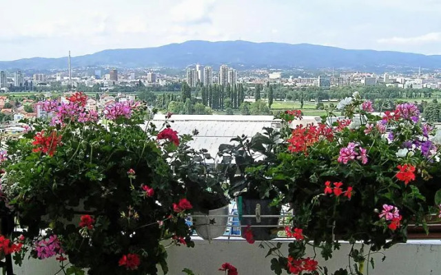 Apartment Rosa Gallica