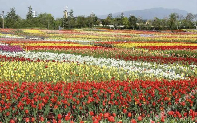 Kuwana Park