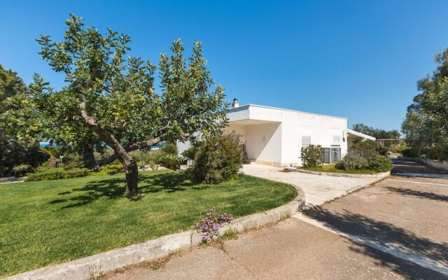 2158 B&B Carrubeto