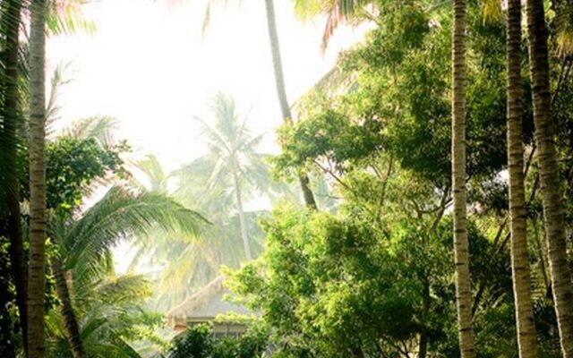 Gaia-Oasis Beach Resort