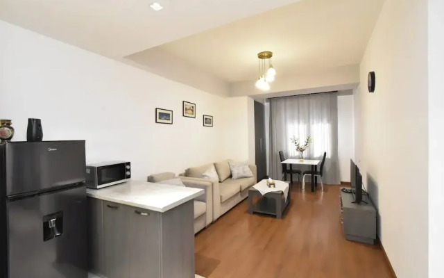 1bdr luxury apartment