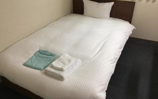 Hotel Green Palace