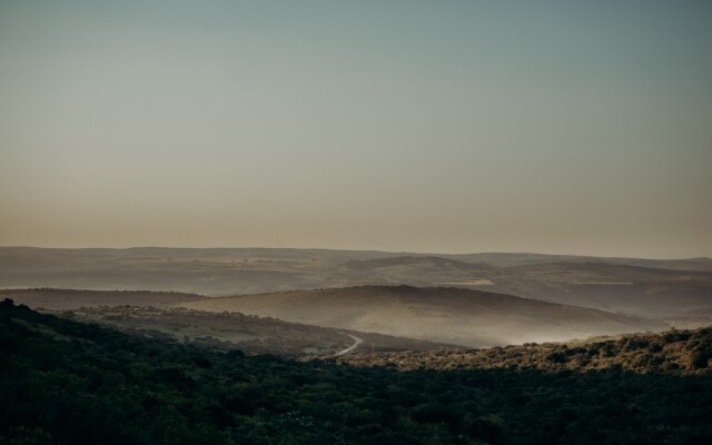 Bukela Game Lodge Amakhala Game Reserve