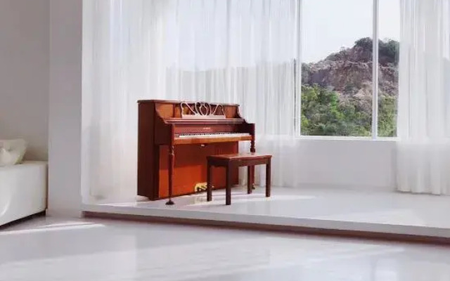 Casa V.