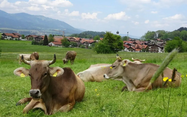 Holiday Apartment Rubihorn