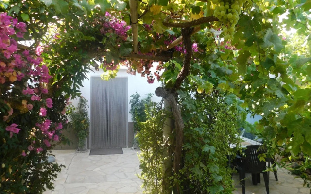 Spacious Villa Ideal Families and Groups