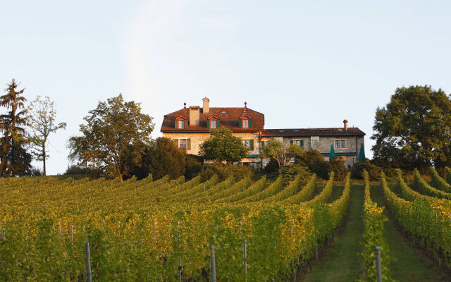 Domaine De Chateauvieux