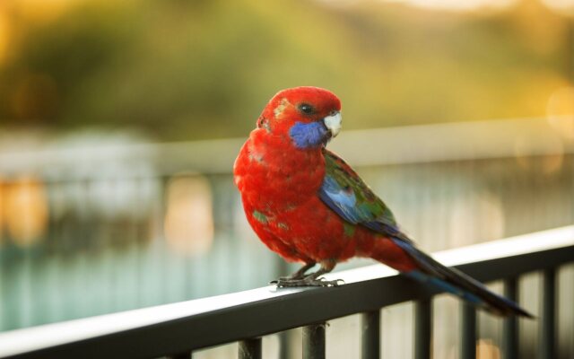 Alivio Tourist Park Canberra