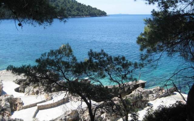 Mila - 80 m From the Beach - A1