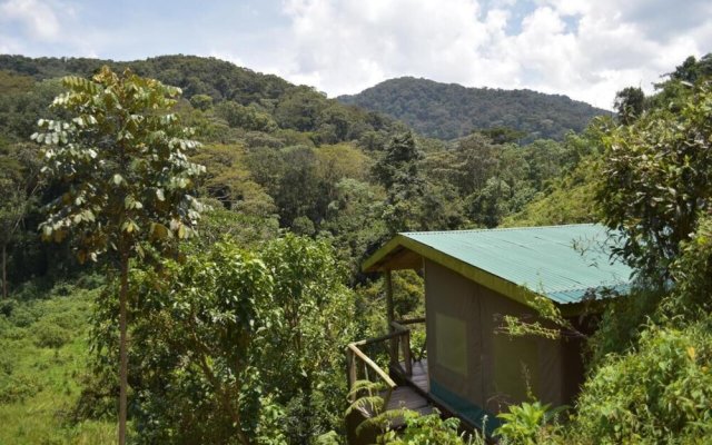 Gorilla Hills Eco Lodge