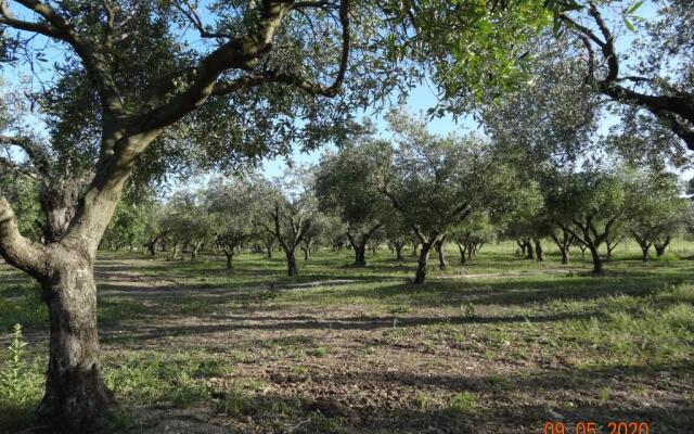 Agriturismo Fieri