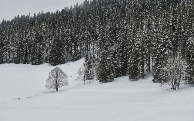 Black Forest Lodge