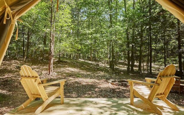 Tentrr - Little Bear