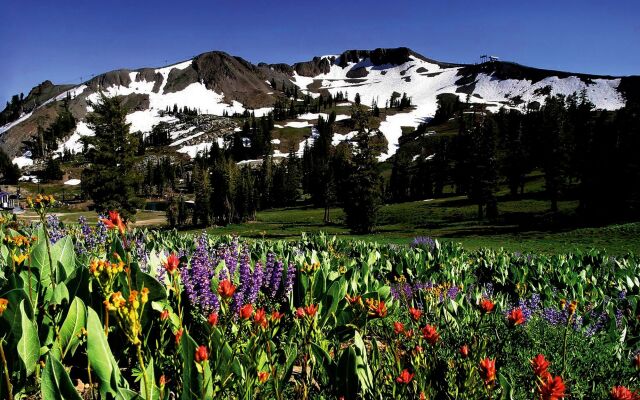 Squaw Valley Lodge