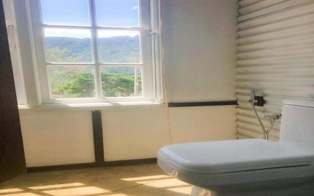 Tea & Experience Factory