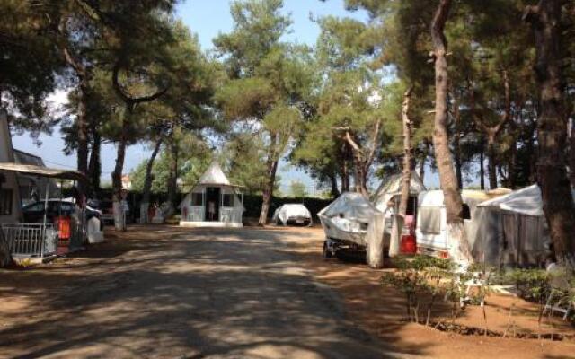 Camping Olympos Beach